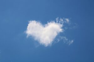 物の価値を感じるための育て方とは？