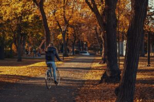 子どもに分け合うことの大切さをどう伝える方法は？