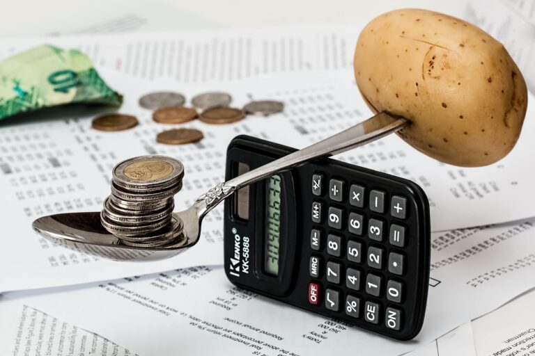 お金の管理方法はどれが自分に合う？比較して見つける最適解とは？