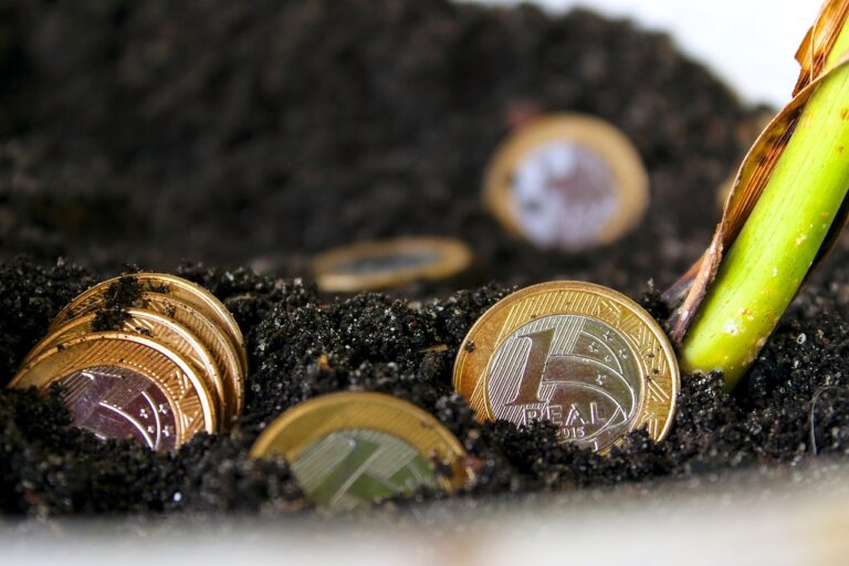 お金の教育はいつから始めるべき？